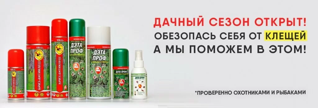 Как эффективно защититься от клещей Как эффективно защититься от клещей